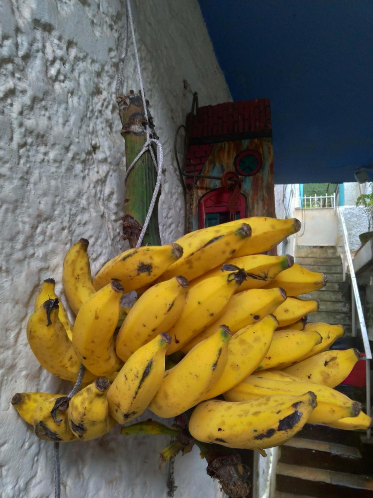 리오데자네이루 Rio National Park H&C B&B 외부 사진