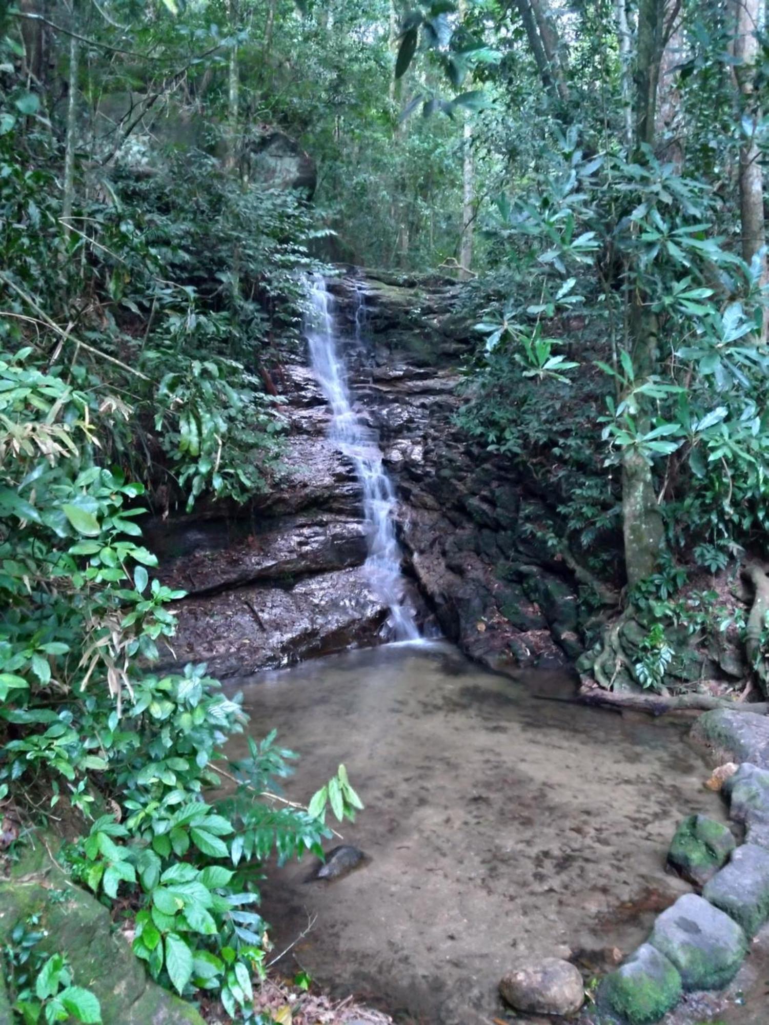 리오데자네이루 Rio National Park H&C B&B 외부 사진